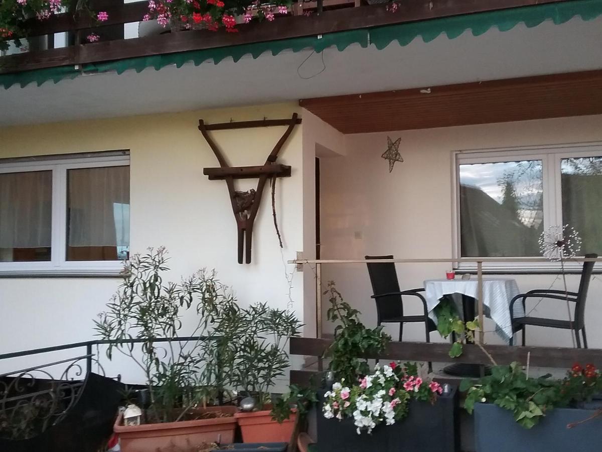 로하우 Haus Biegger B&B 외부 사진