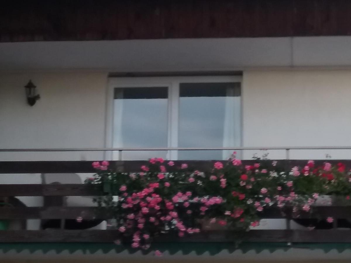 로하우 Haus Biegger B&B 외부 사진